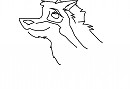 scetch