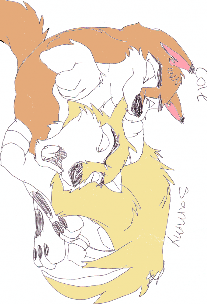 cole and kenai