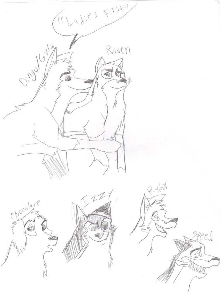 Gifty for Dustpaw