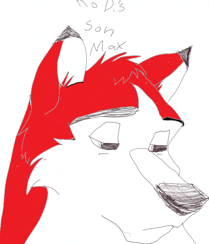 kodi's son max