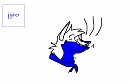 silly jyro