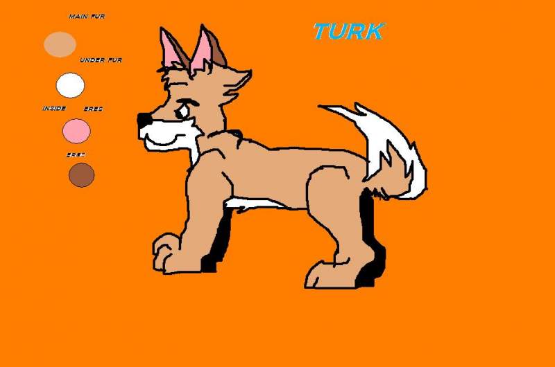 turk
