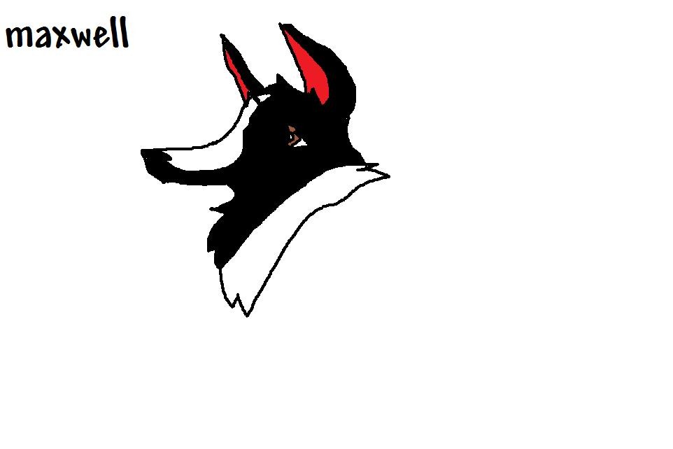for baltosimba15
