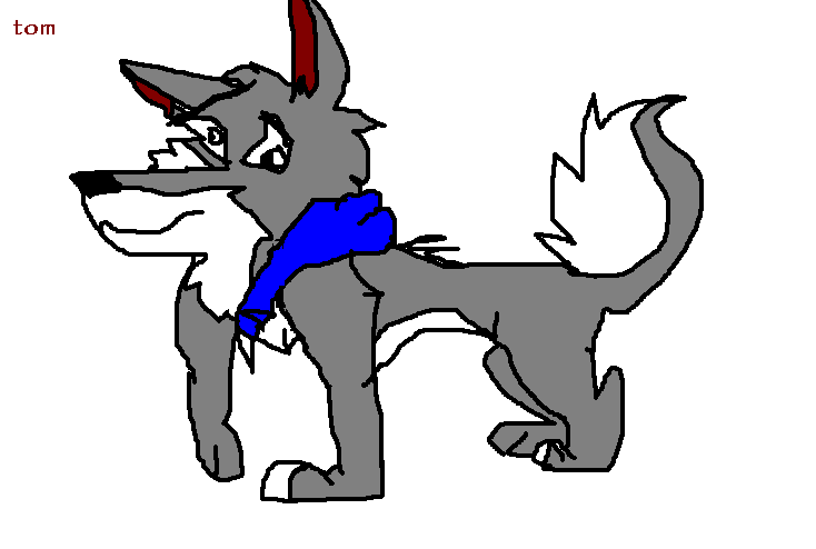 tom