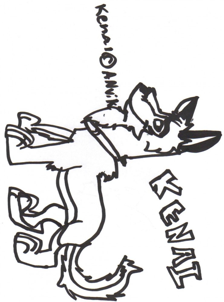 kenai for anvik