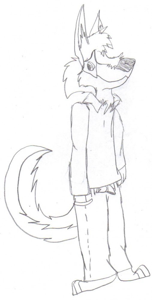 my  foursona 
