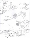 characters 