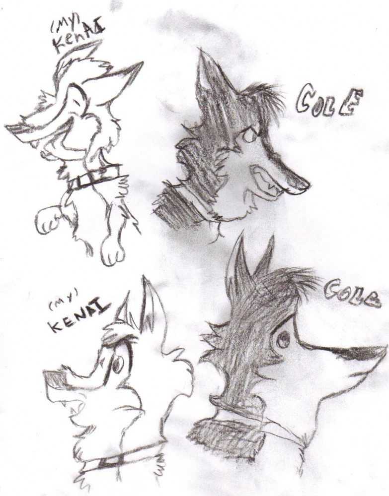 Cole and Kenai charcoal scetchas