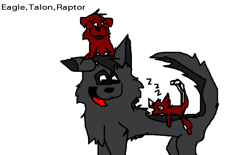 Eagle,Talon,Raptor-White Wolfs Moon