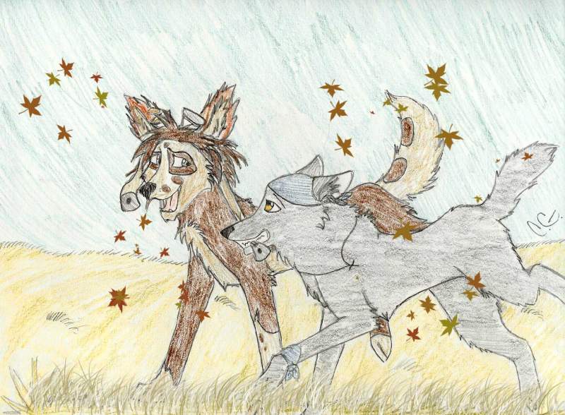 ^_^ a fall day