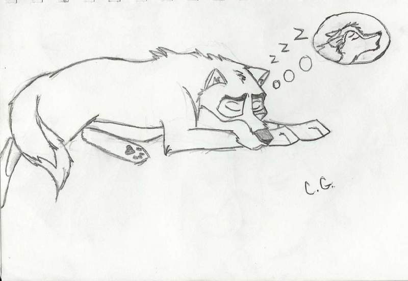 its balto ^_^