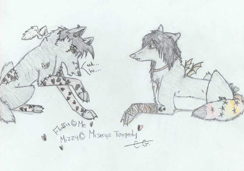 Fluffy needs to work on his social skills :D