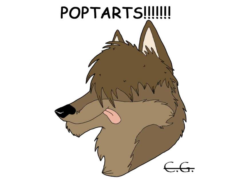 POPTARTS!!!! :D