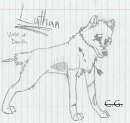 Luthan a.k.a. Wolf of Death