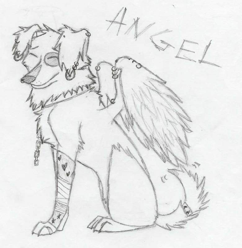 Angel (Mr. Happy's mate)