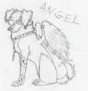 Angel (Mr. Happy's mate)