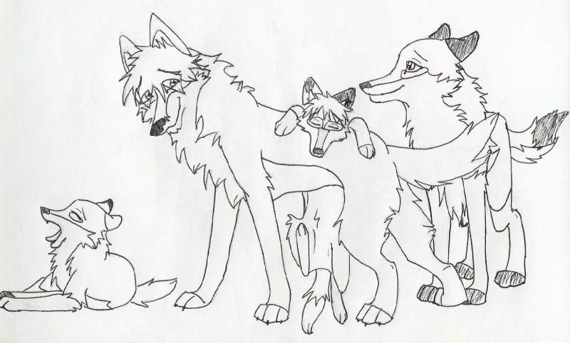 meet the new family on Balto Source!