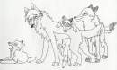 meet the new family on Balto Source!