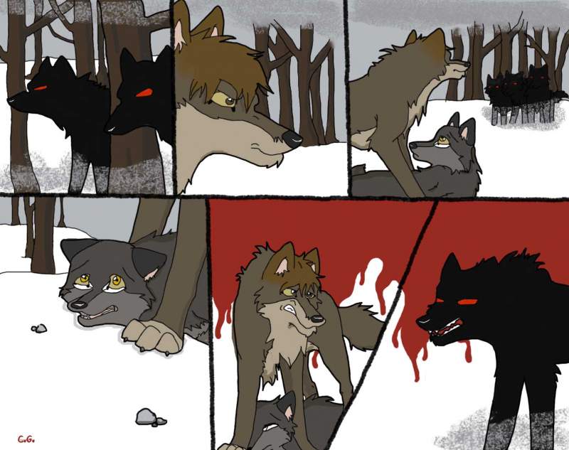 Apri-werewolf's contest