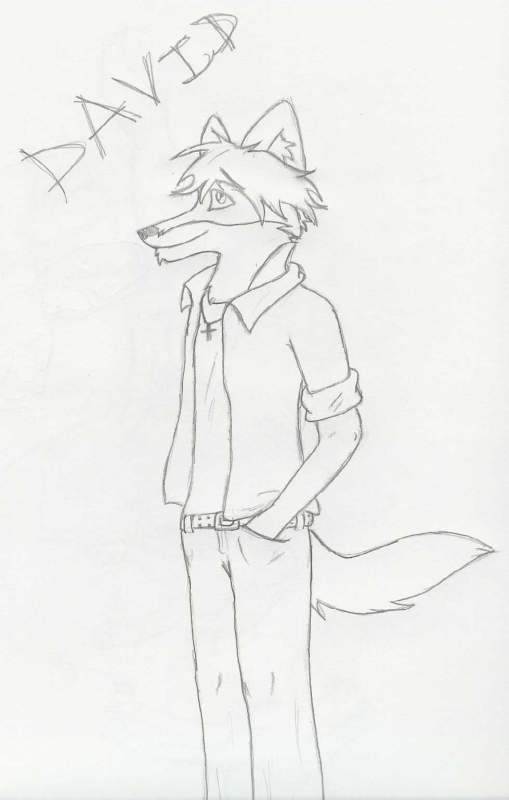 David anthro