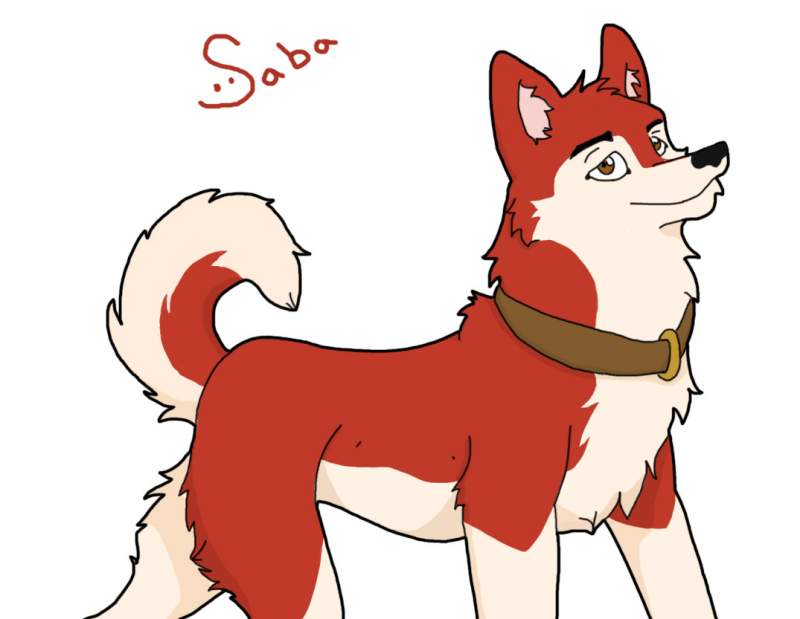 My version of Saba