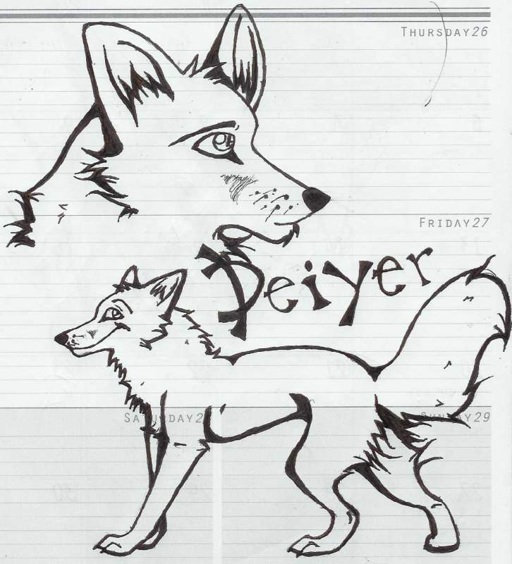 Deiyer again