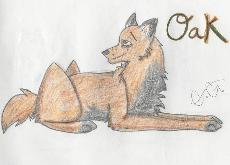 Oak, Balto's sister