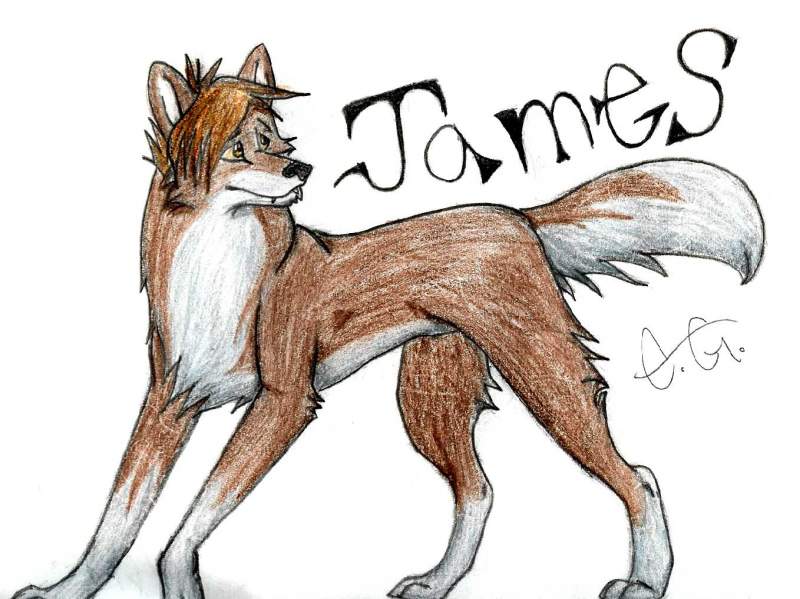 James again
