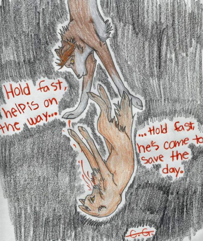 Hold Fast...