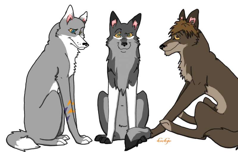 The Three Amigos
