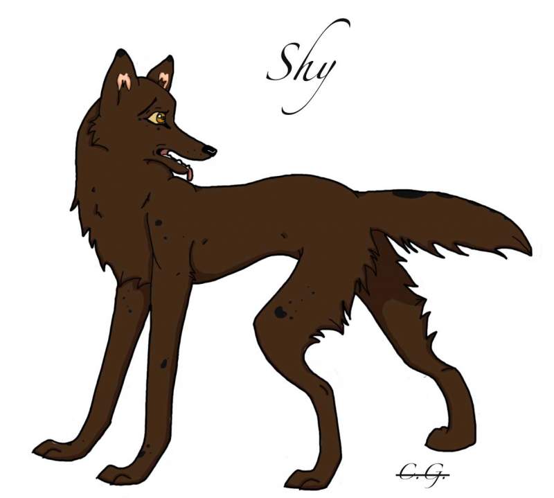 Shy