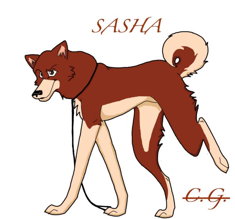 Sasha