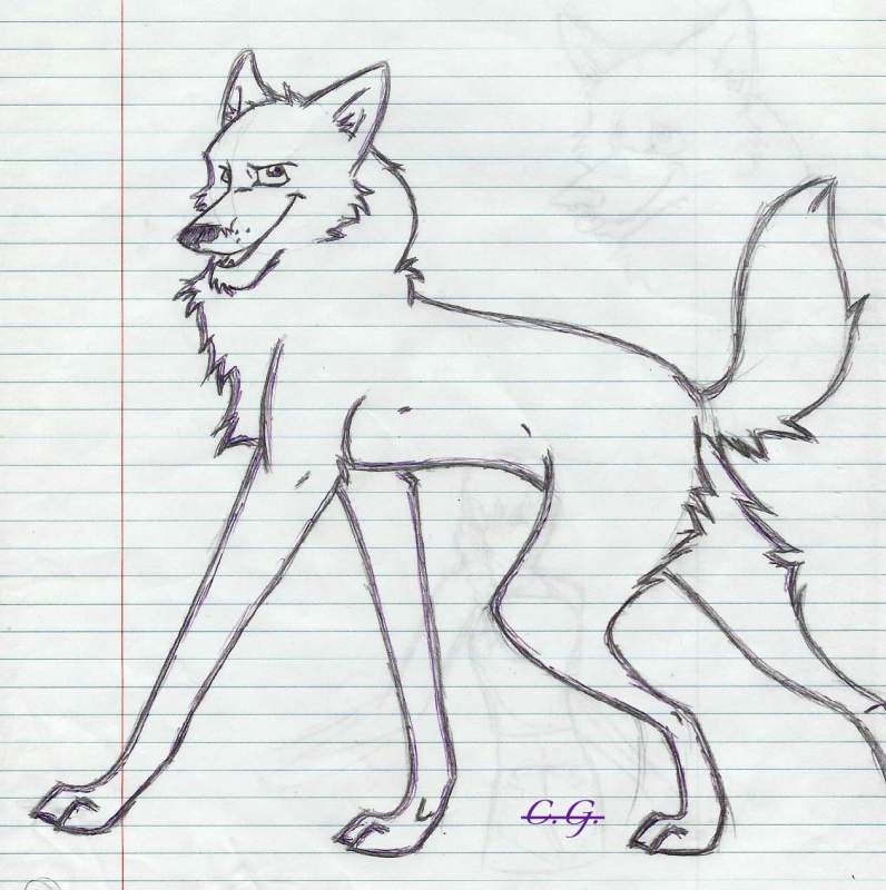 random pose & wolf