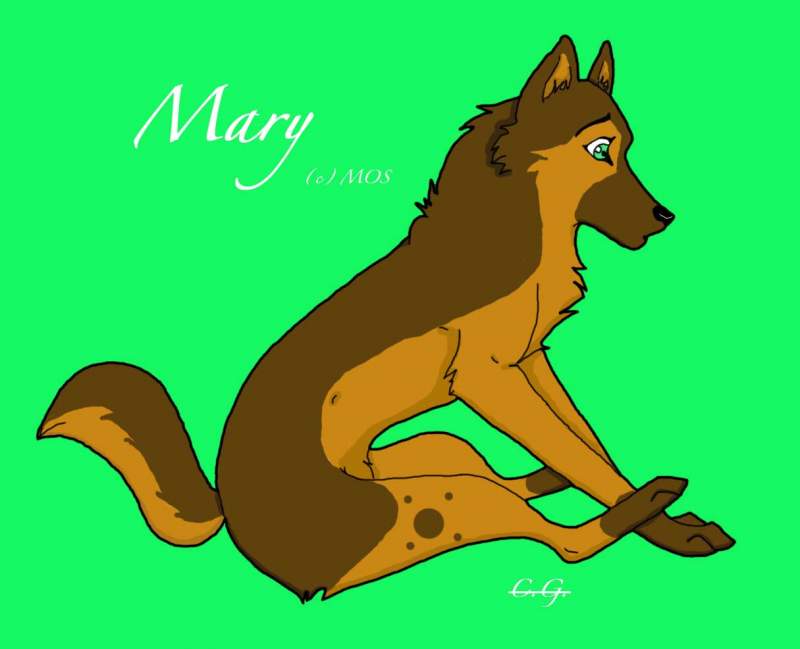 Mary for MOS
