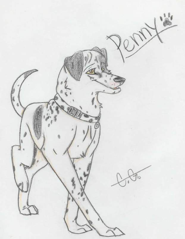 My old dog, Penny