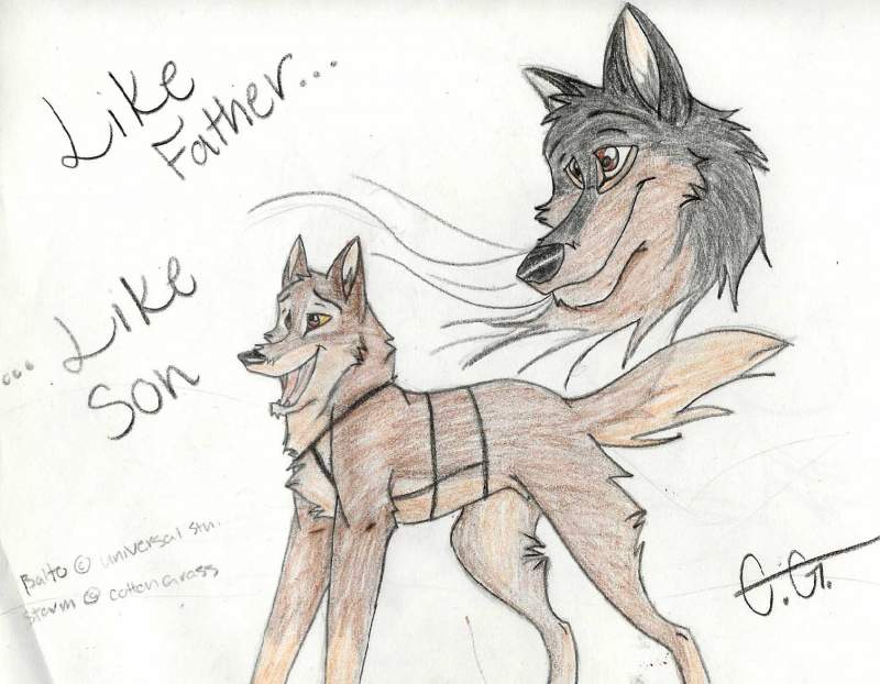 Balto and his Daddy, Storm
