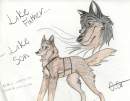Balto and his Daddy, Storm