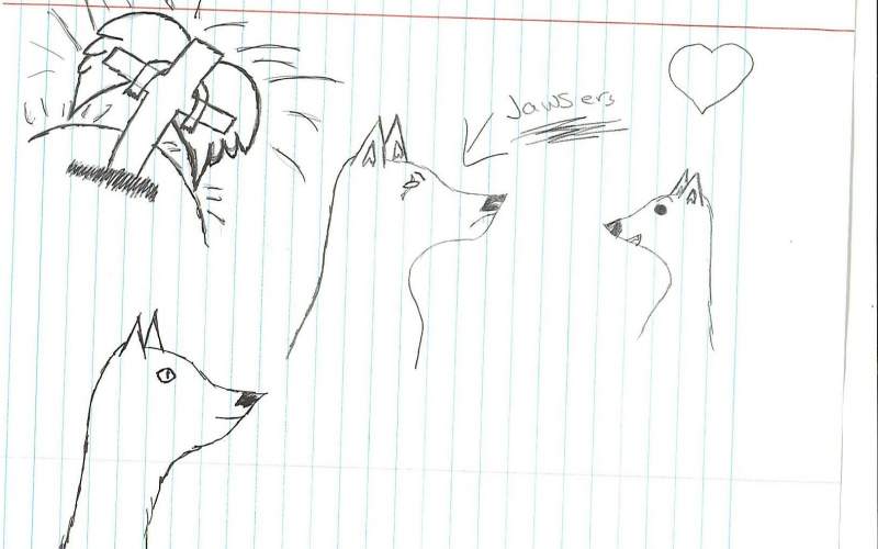 doodles