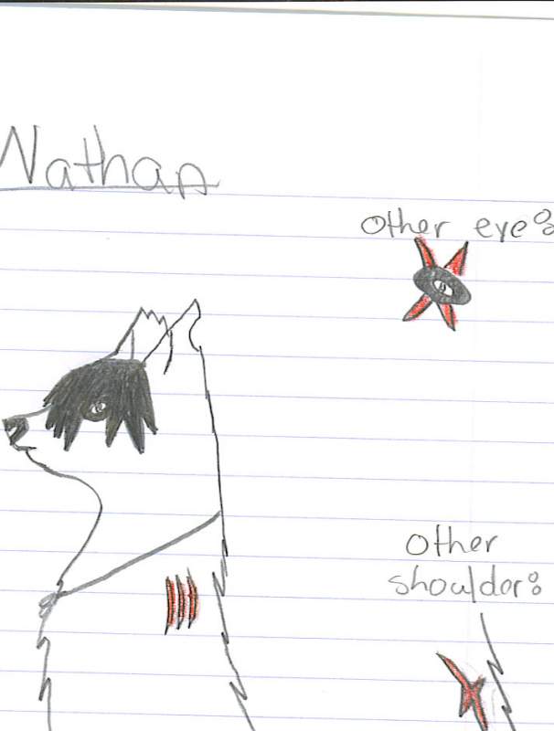 nathan 