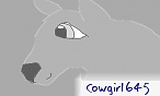 cowgirl645