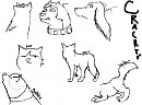 Doodle dump!!
