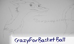 CrazyForBasketBall