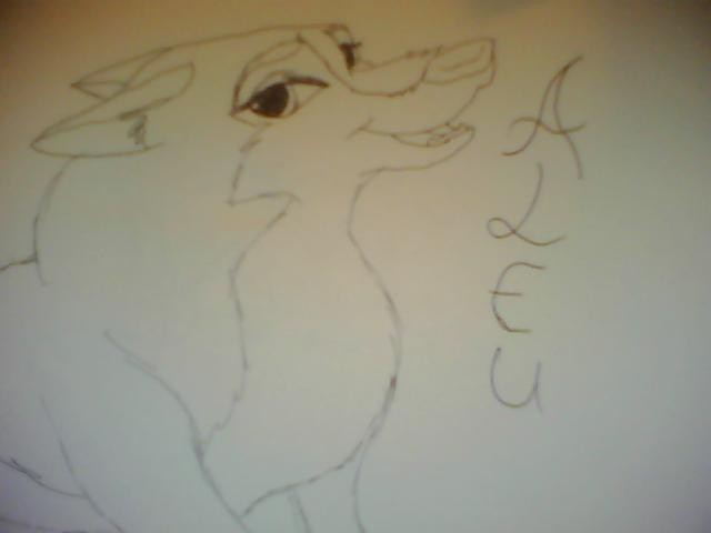 Aleu. :3