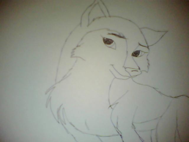 Aleu. :3