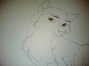 Aleu. :3