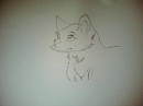 A female wolf