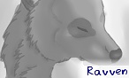 Ravven