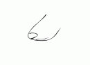 Animation