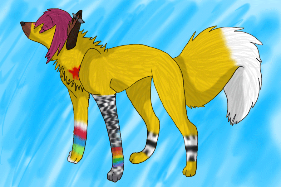Gift for Saska