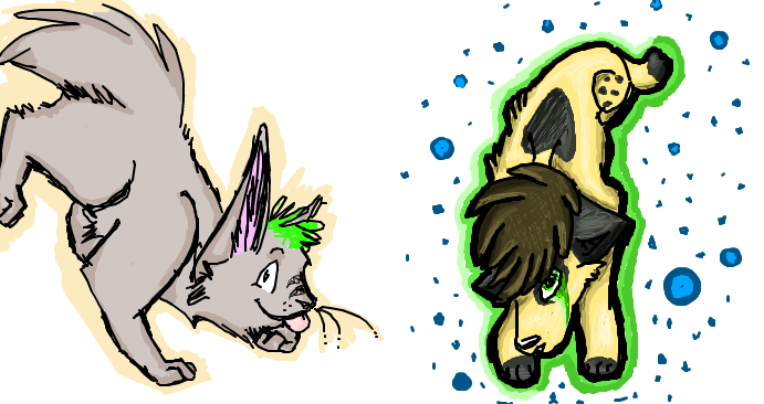 Meow and woof